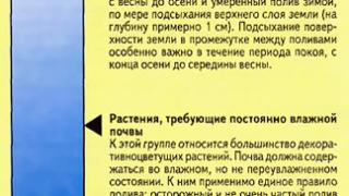 Полив комнатных растений